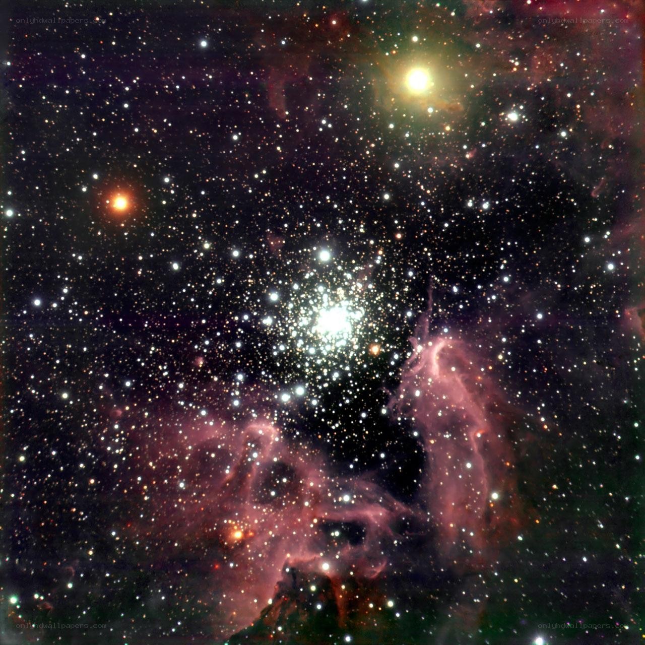 Star cluster in nebula
