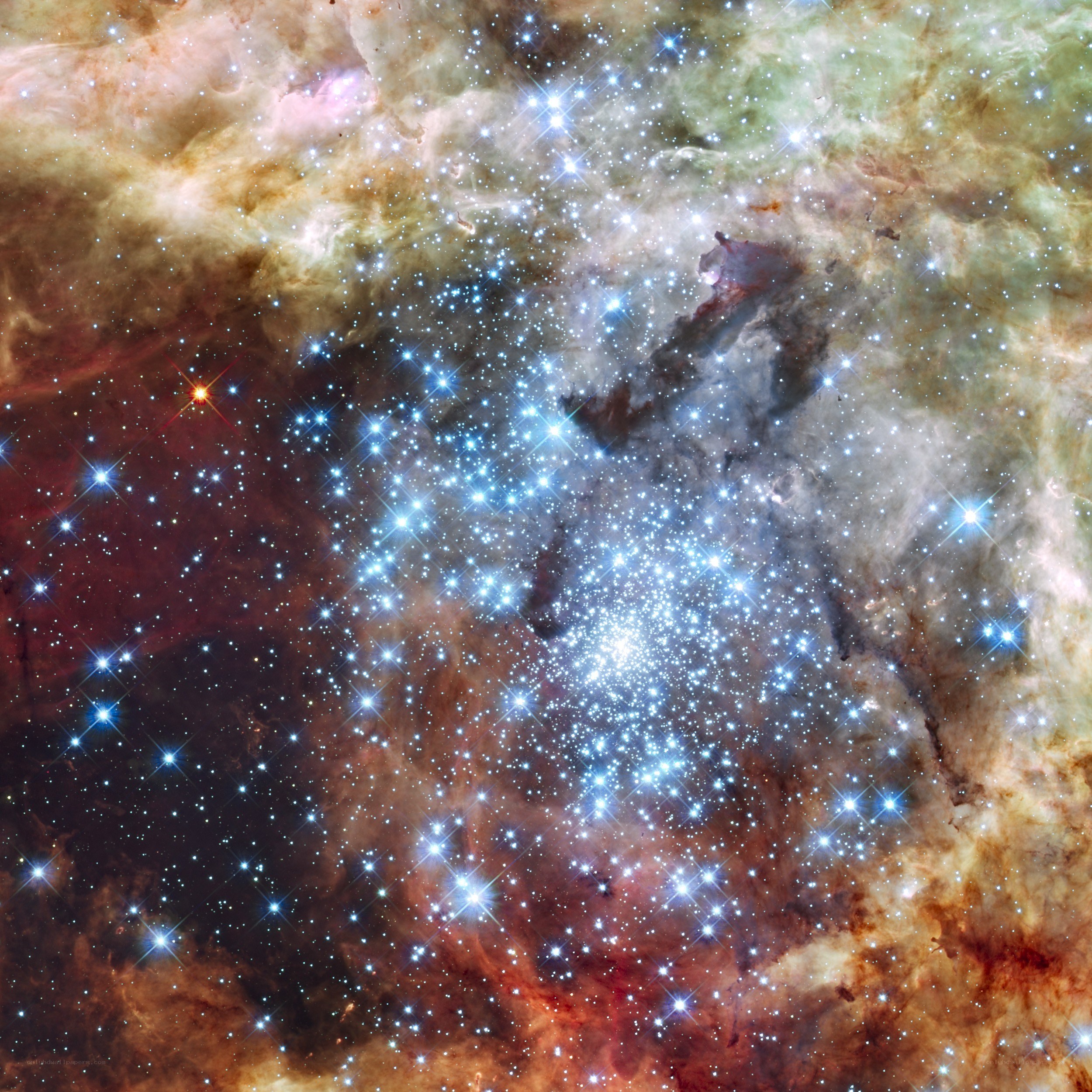Star cluster in nebula