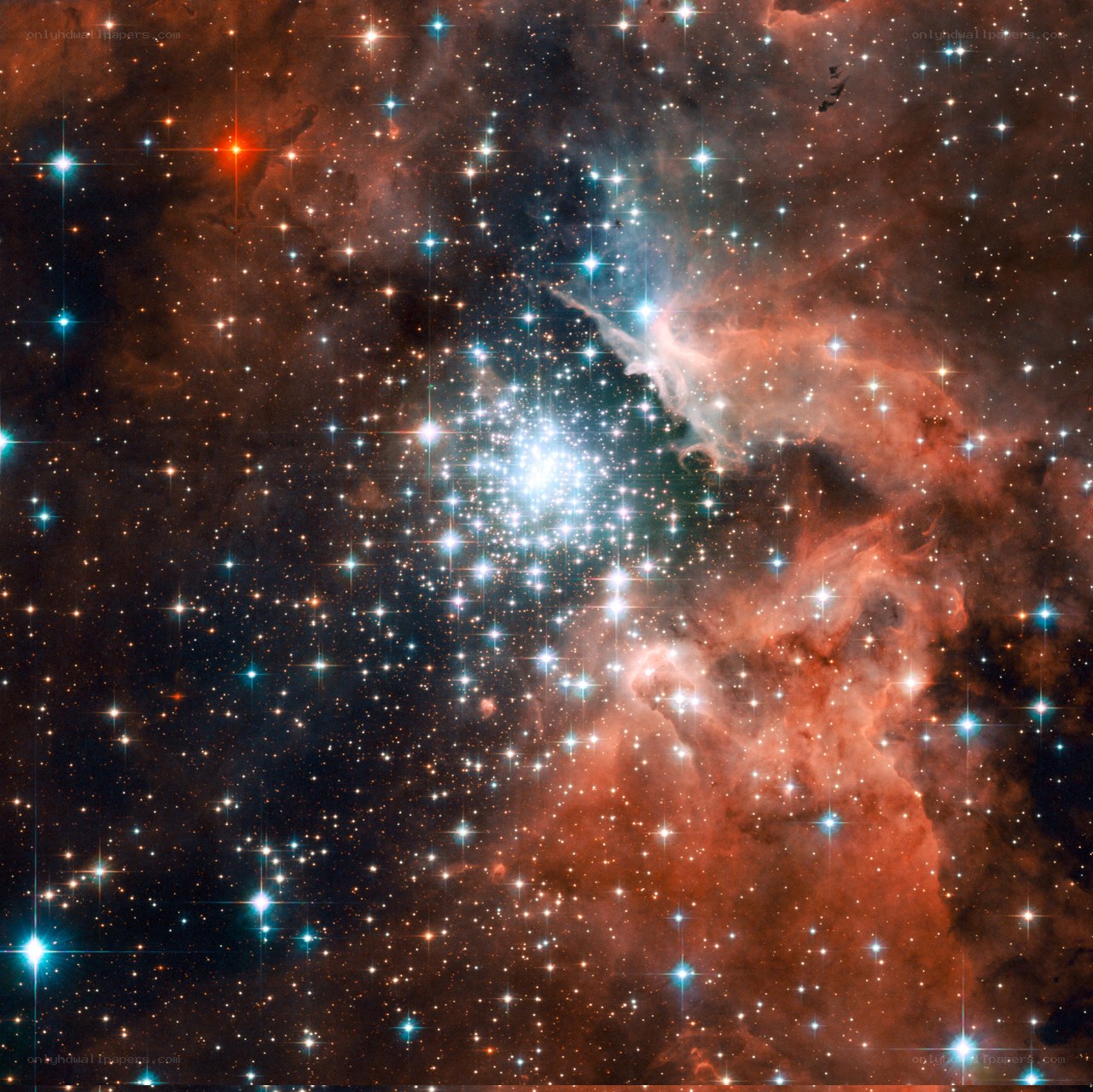 Star cluster in nebula