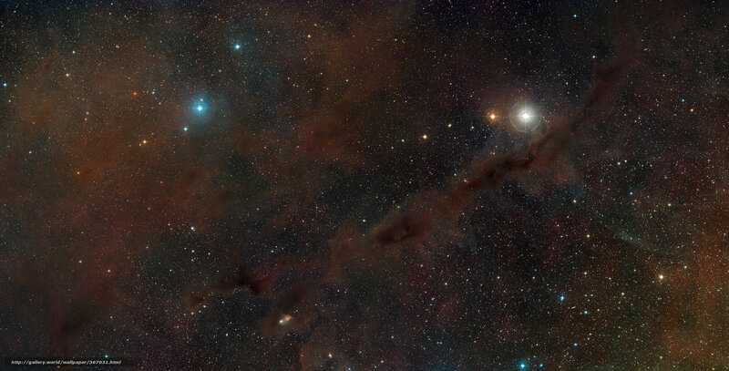 Star Field with Nebula — Black