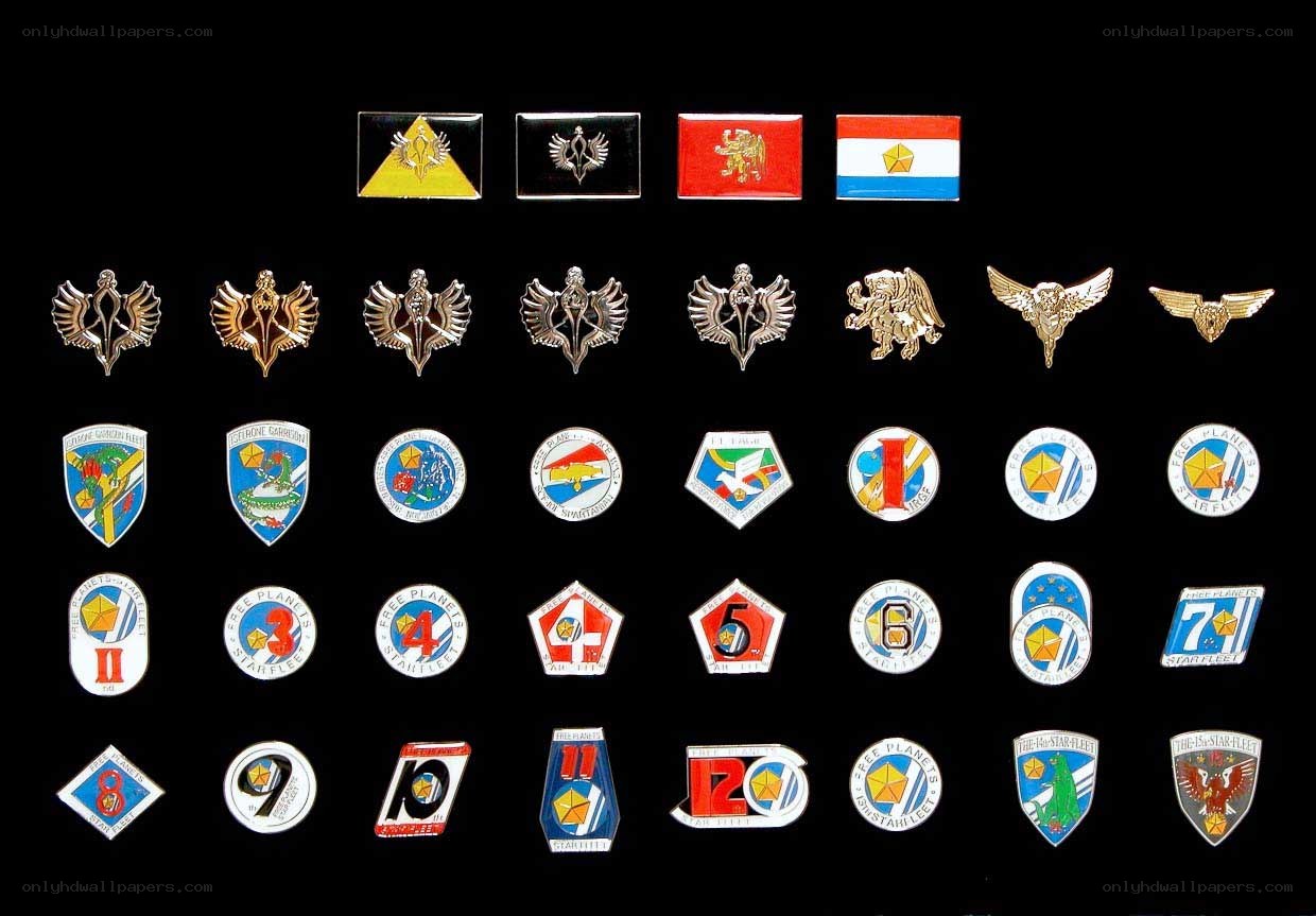 Star Fleet pin collection