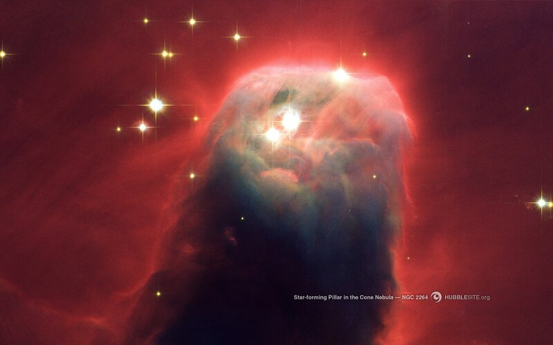 Star-forming Pillar in Cone Nebula