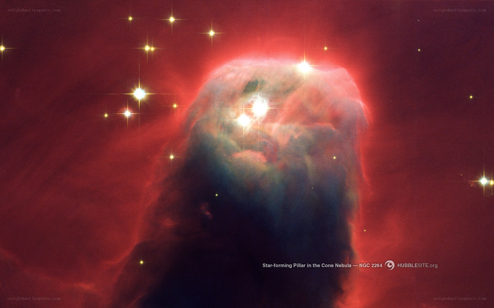 Star-forming Pillar in Cone Nebula