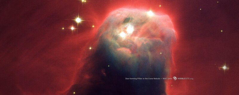 Star-forming Pillar in the Cone Nebula