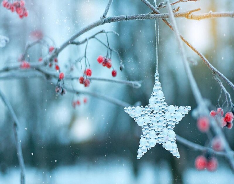 Star Ornament on Branch — Blue