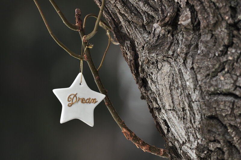 Star Ornament on Branch