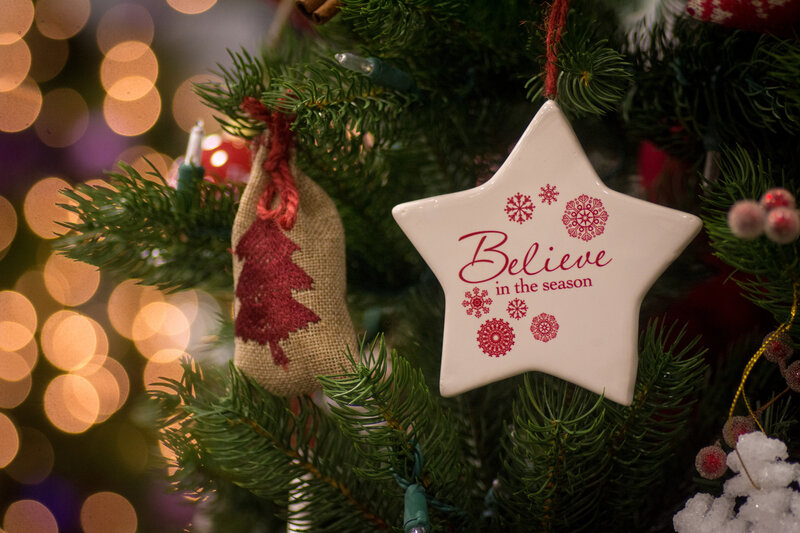 Star Ornament on Tree