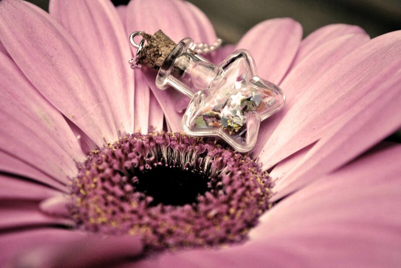 Star-shaped Bottle on Flower