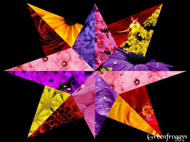 Star-shaped Flower Collage