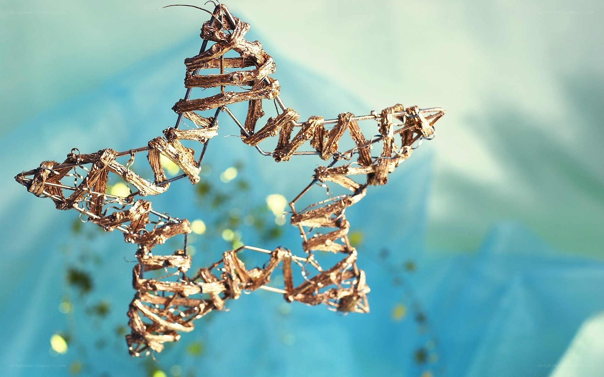 star-shaped twig decoration