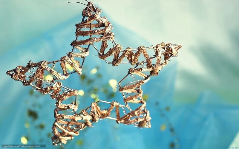 star-shaped twig decoration