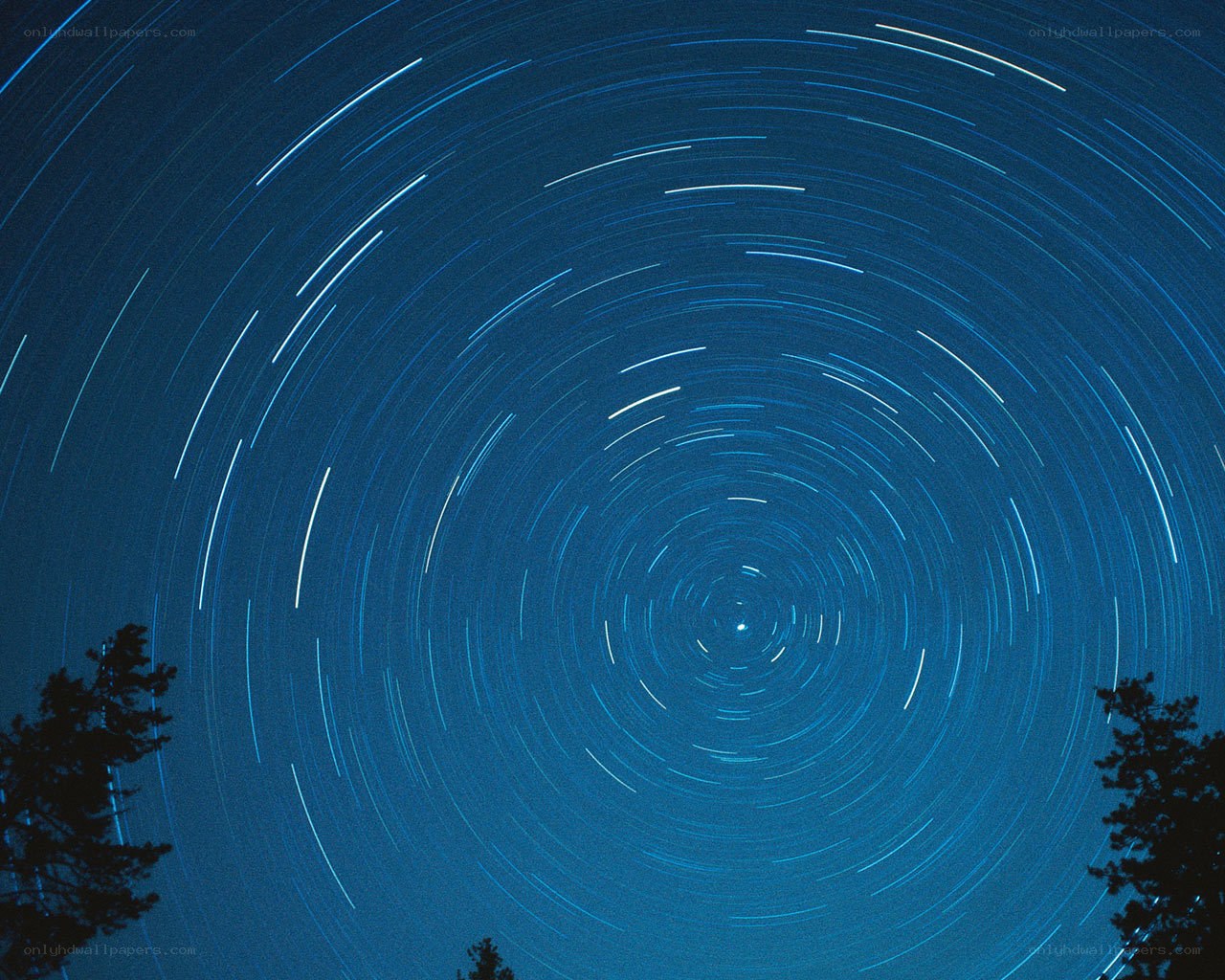 star trails in night sky