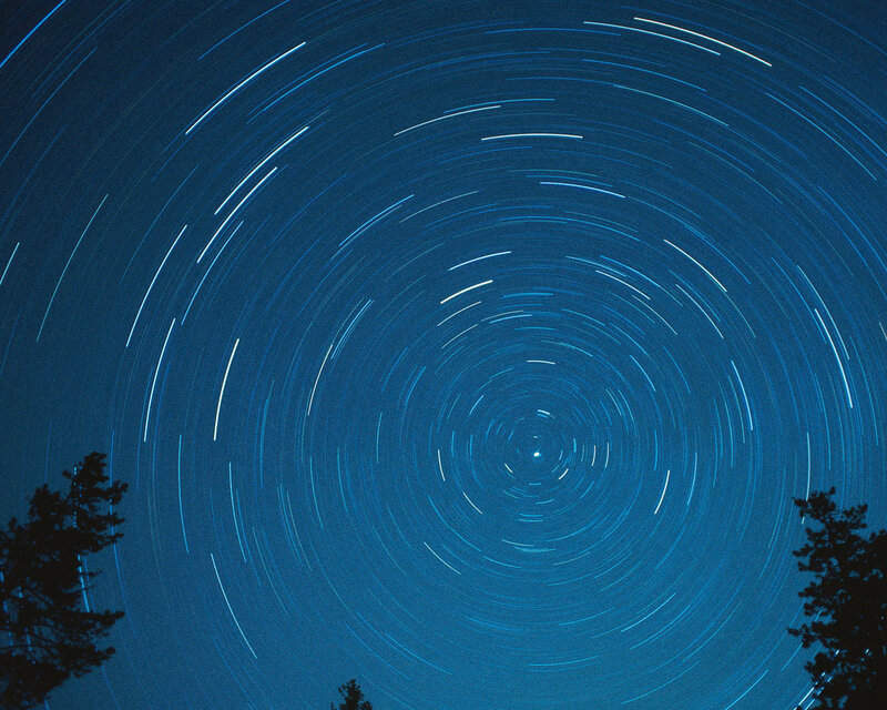 Star Trails in Night Sky — Blue, Serene, Photograph, Trees, Night Sky, Black