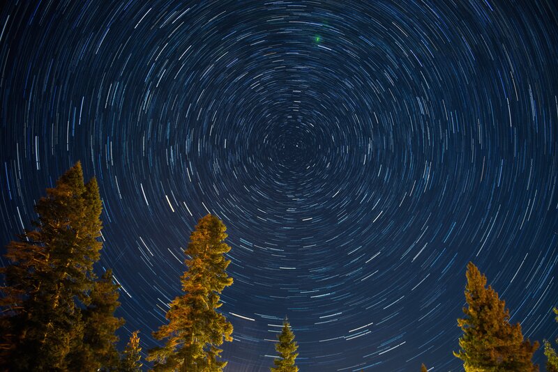 Star Trails in Night Sky — Blue, Serene, Photograph, Trees, Night Sky