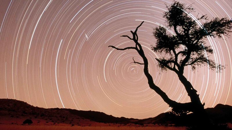Star trails over a lone tree