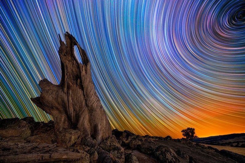 Star trails over a tree stump