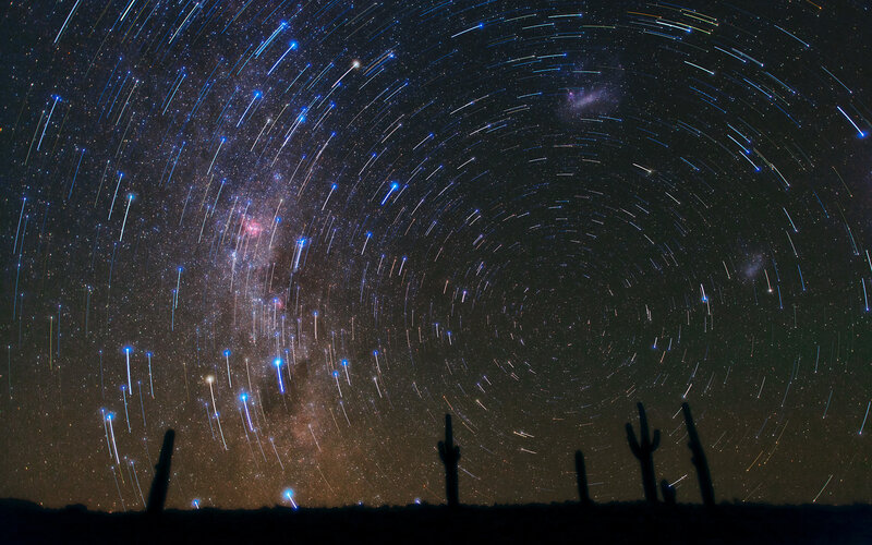 Star Trails over Cacti