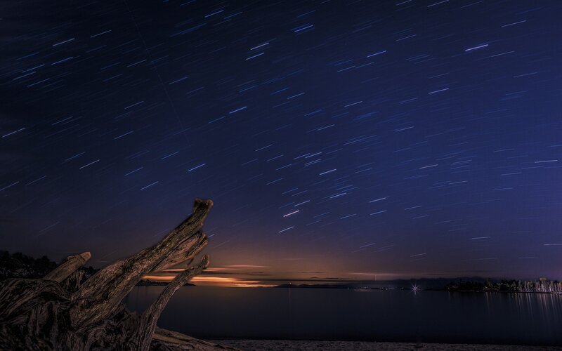 Star trails over driftwood
