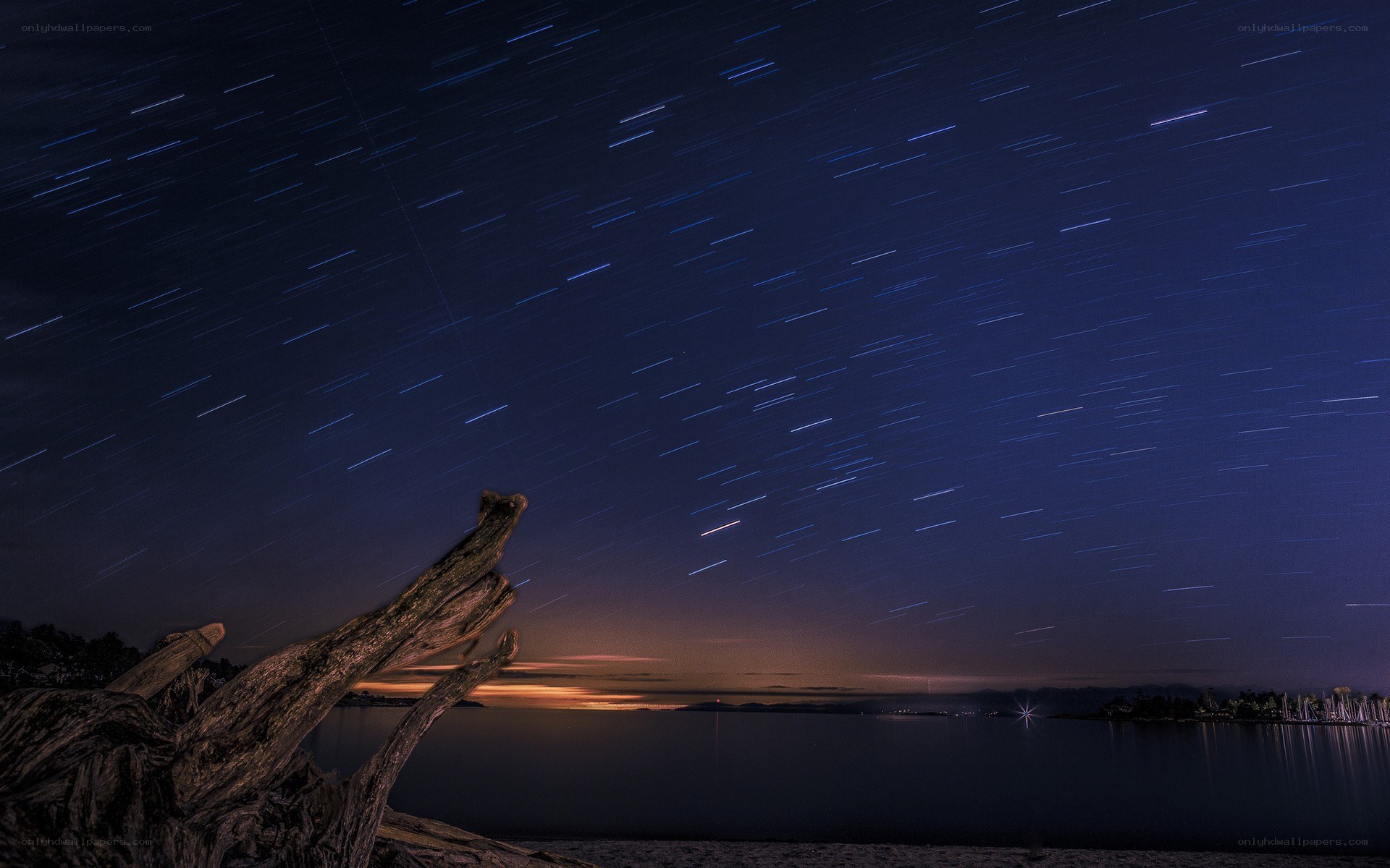 Star trails over driftwood