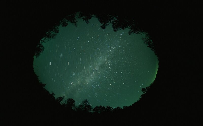 star trails over forest