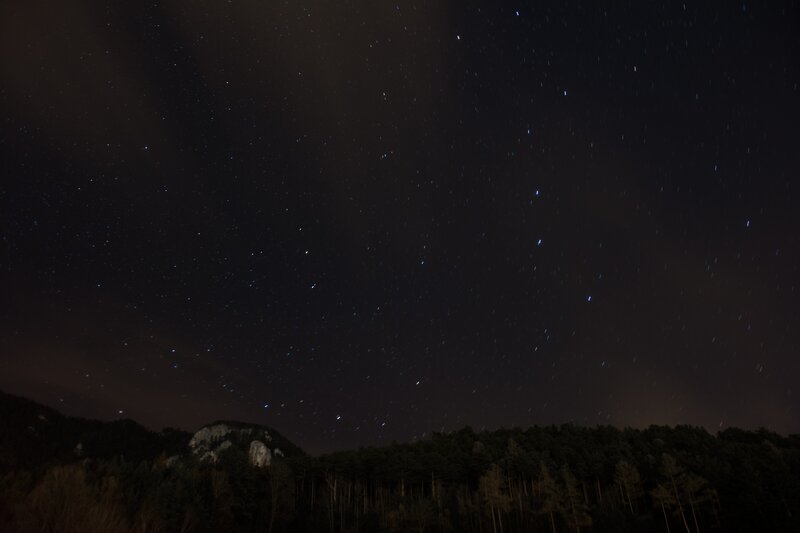 Star Trails over Forest — Black