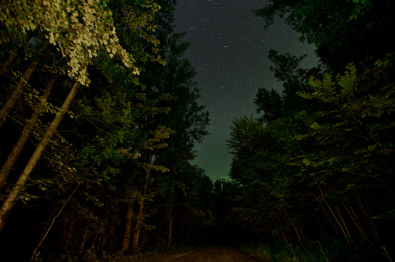 Star Trails over Forest Path