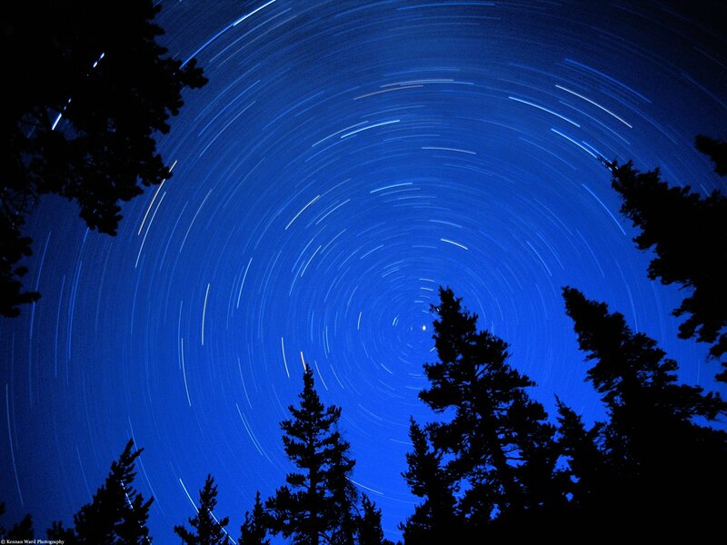 Star trails over forest silhouette