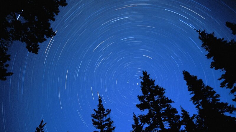 Star trails over forest silhouette