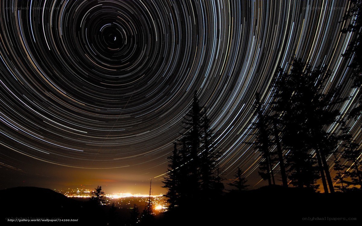 Star trails over forest