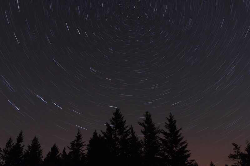 Star Trails over Trees — Black