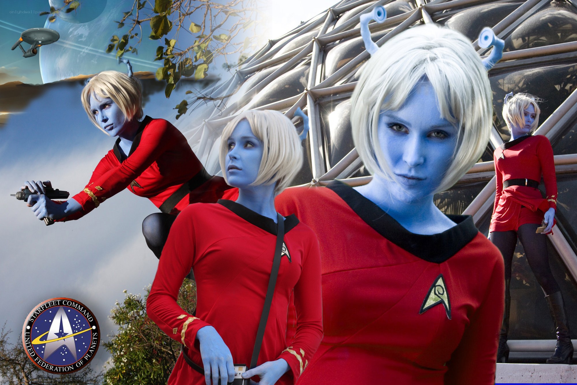 Star Trek cosplay collage