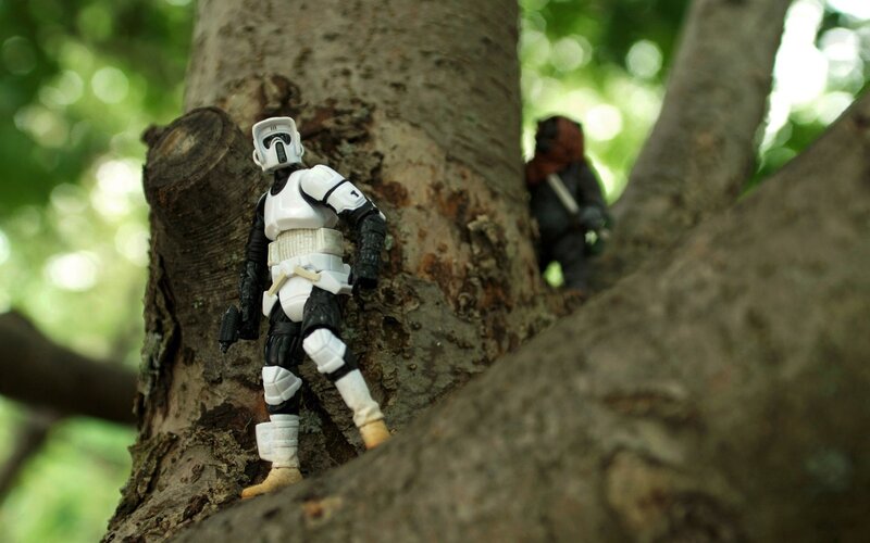 Star Wars action figures in tree