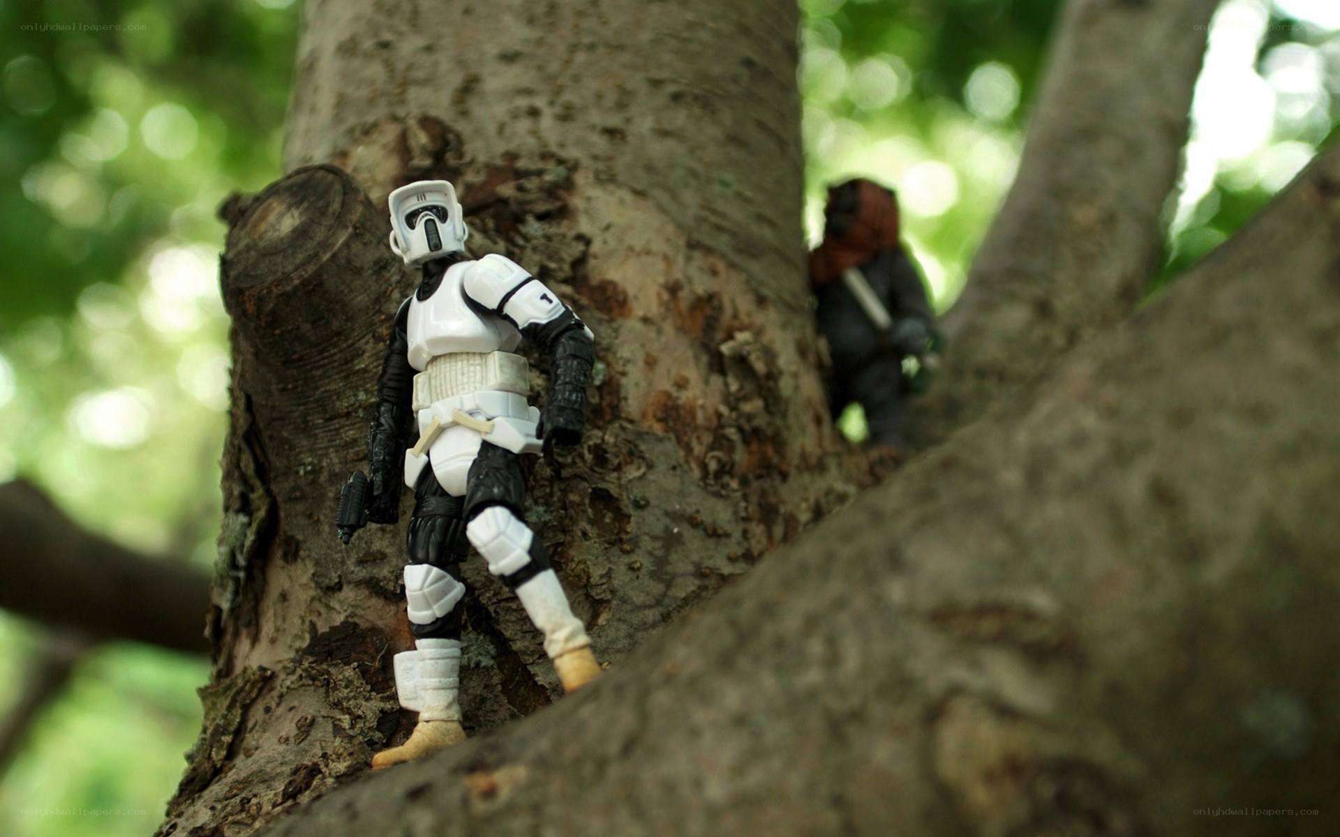 Star Wars action figures in tree