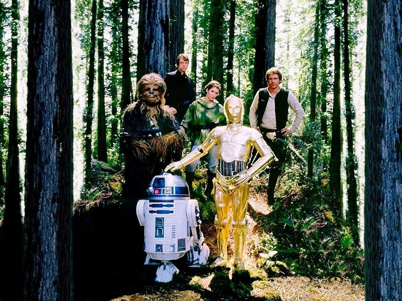 Star Wars characters in forest