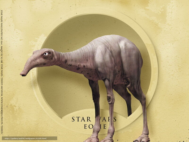 Star Wars Ewok creature