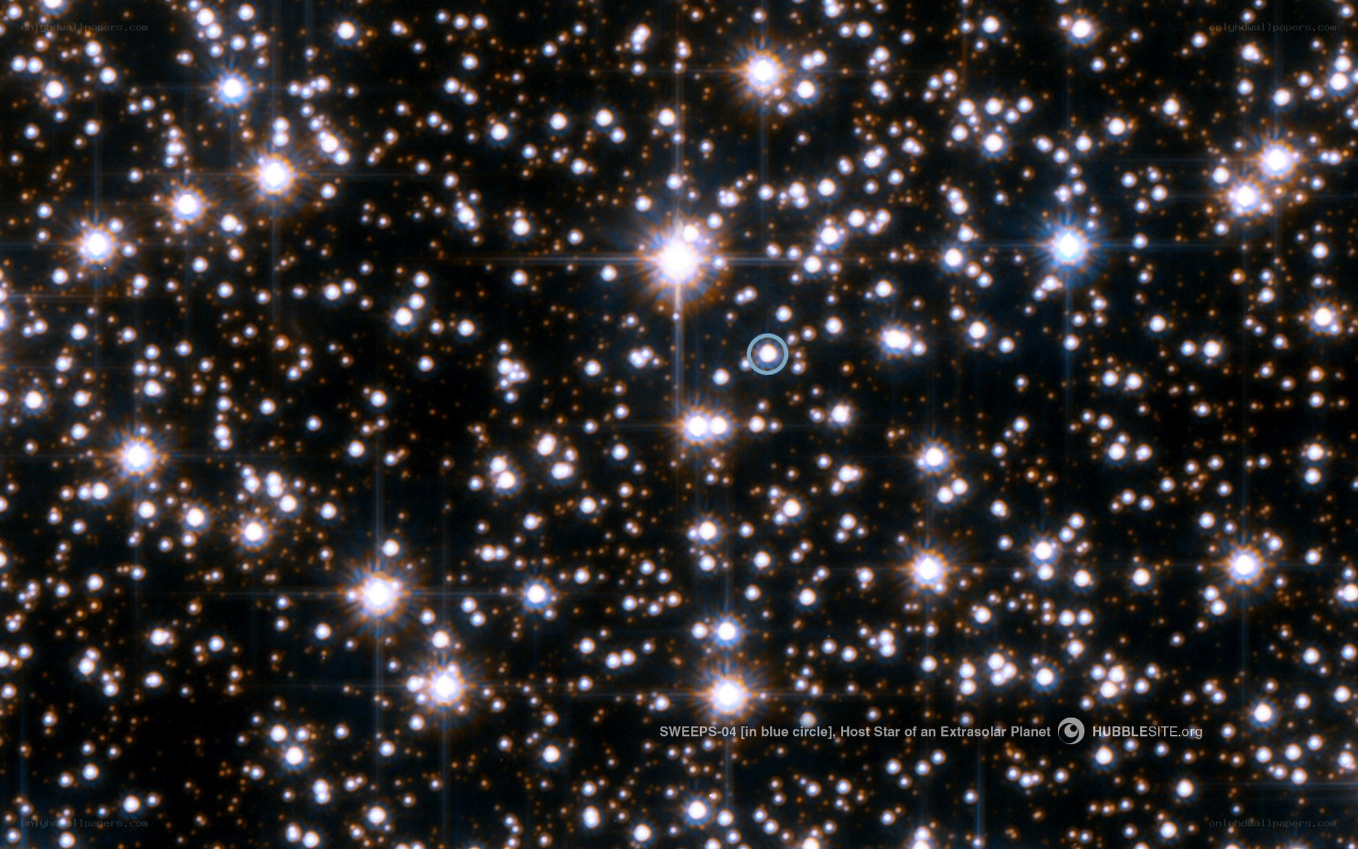 Star with exoplanet host