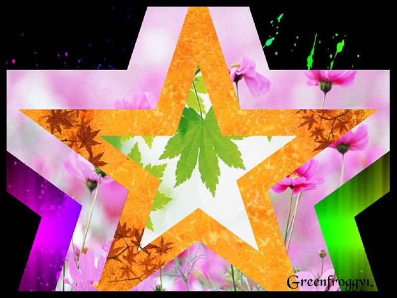 Star with Floral Background
