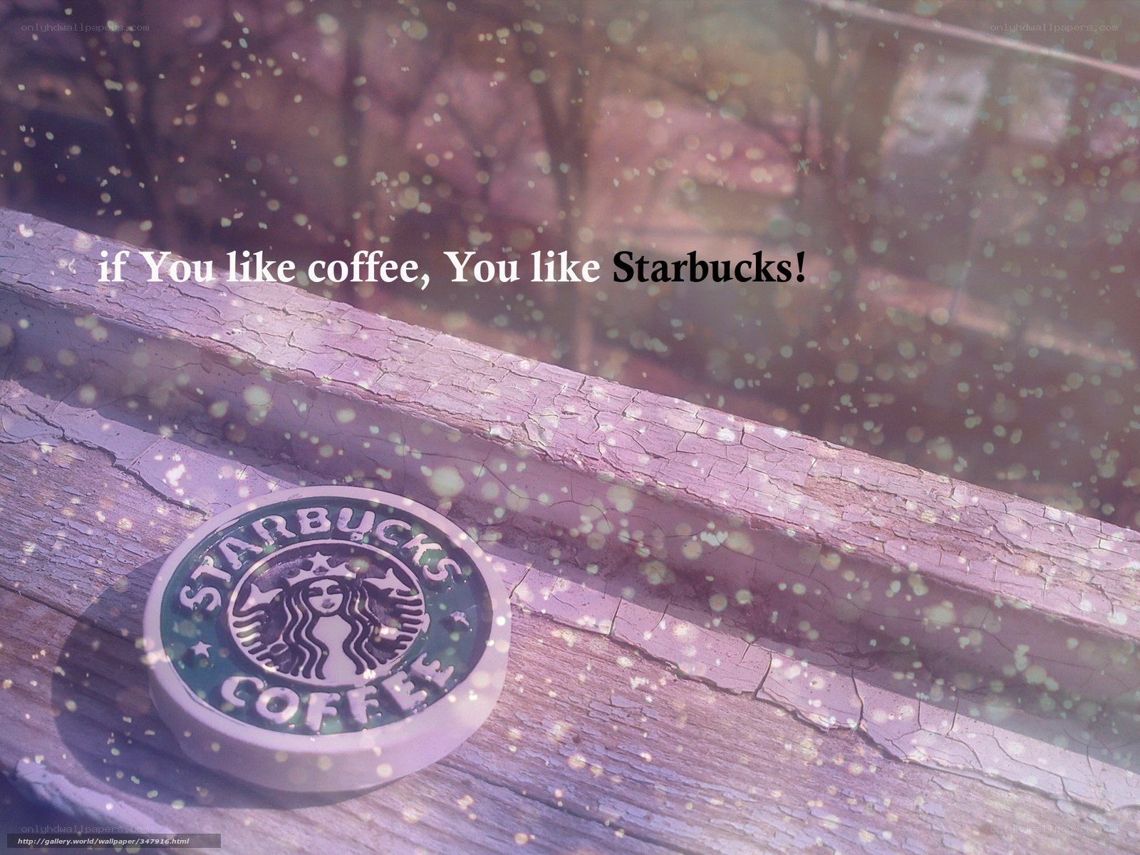 Starbucks coffee coaster