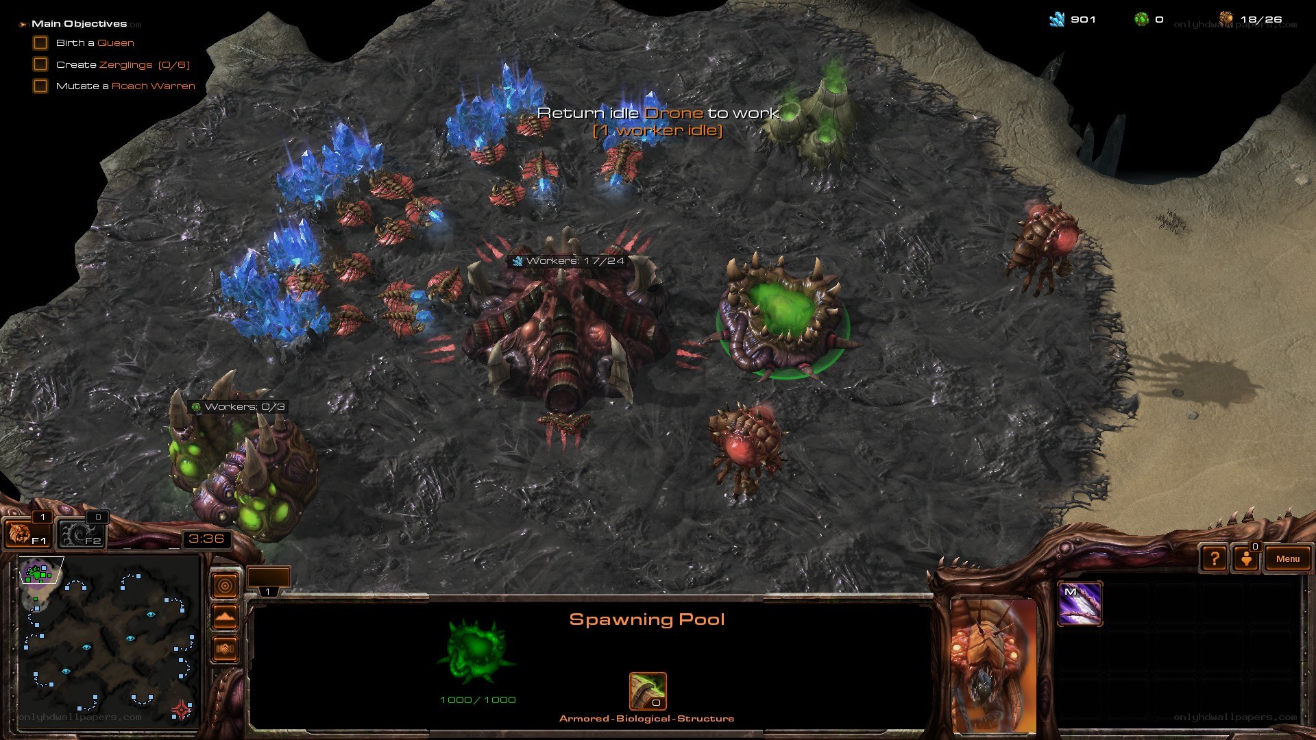 StarCraft II Zerg gameplay