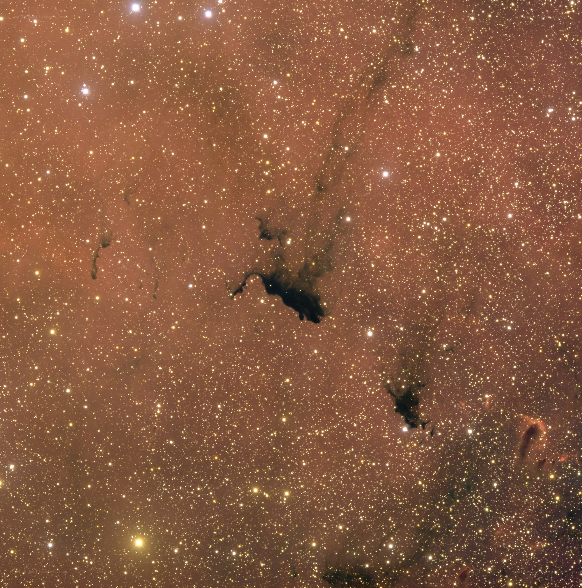 starfield with dark nebula