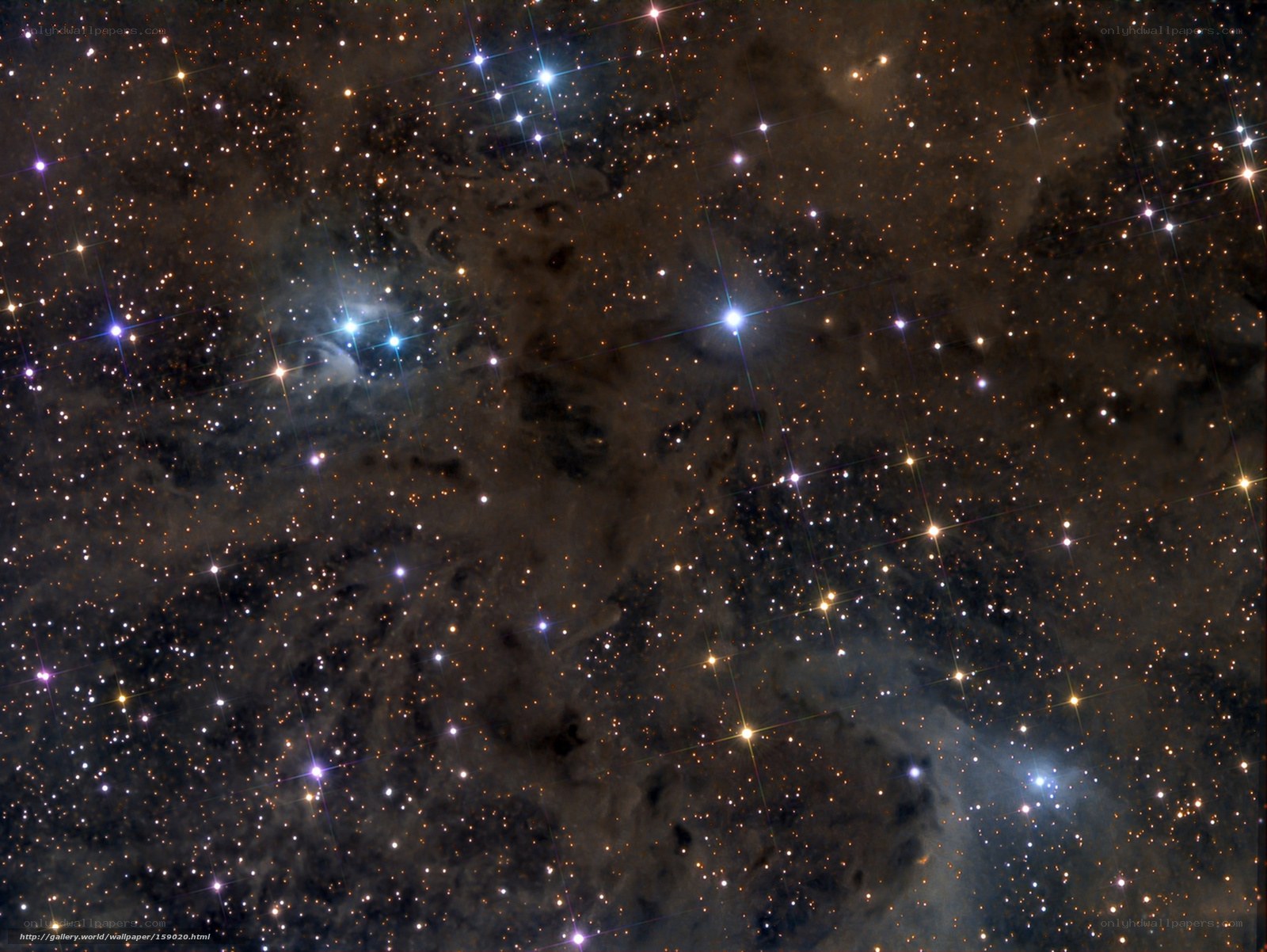 Starfield with Nebula