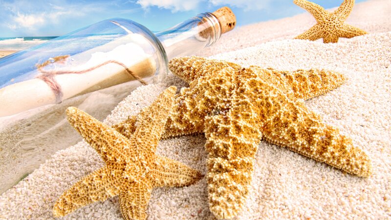 Starfish and Bottle on Beach — Beige, Serene