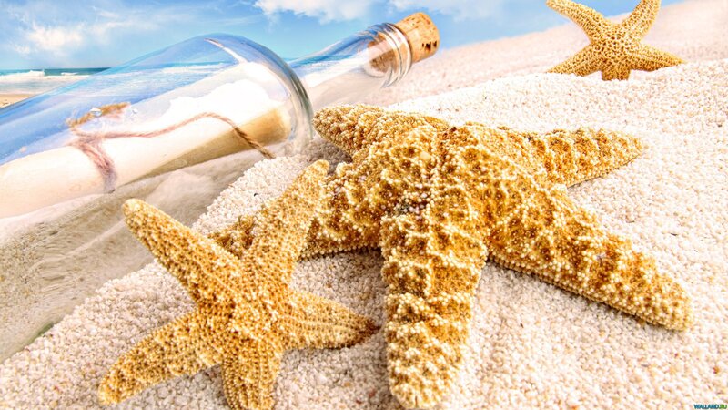 Starfish and Bottle on Beach — Beige