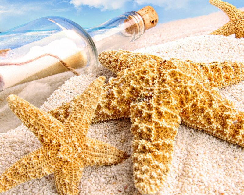 Starfish and Bottle on Sand — Beige