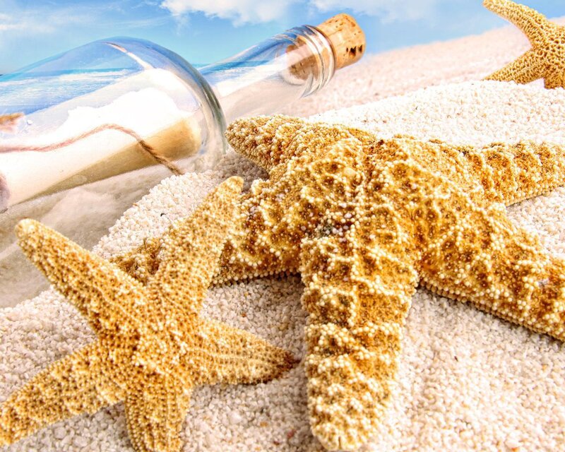 Starfish and Bottle on Sand