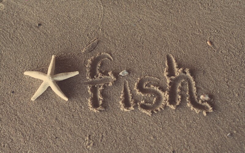 starfish and fish written in sand