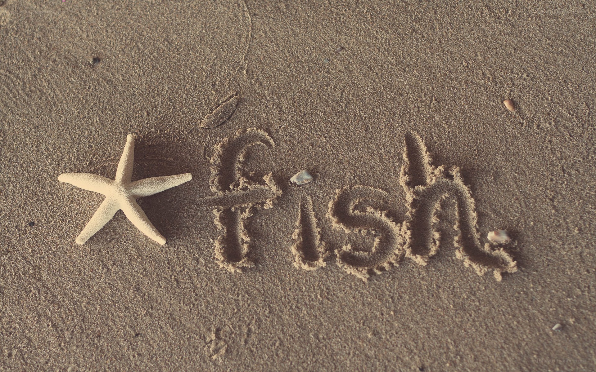 starfish and fish written in sand
