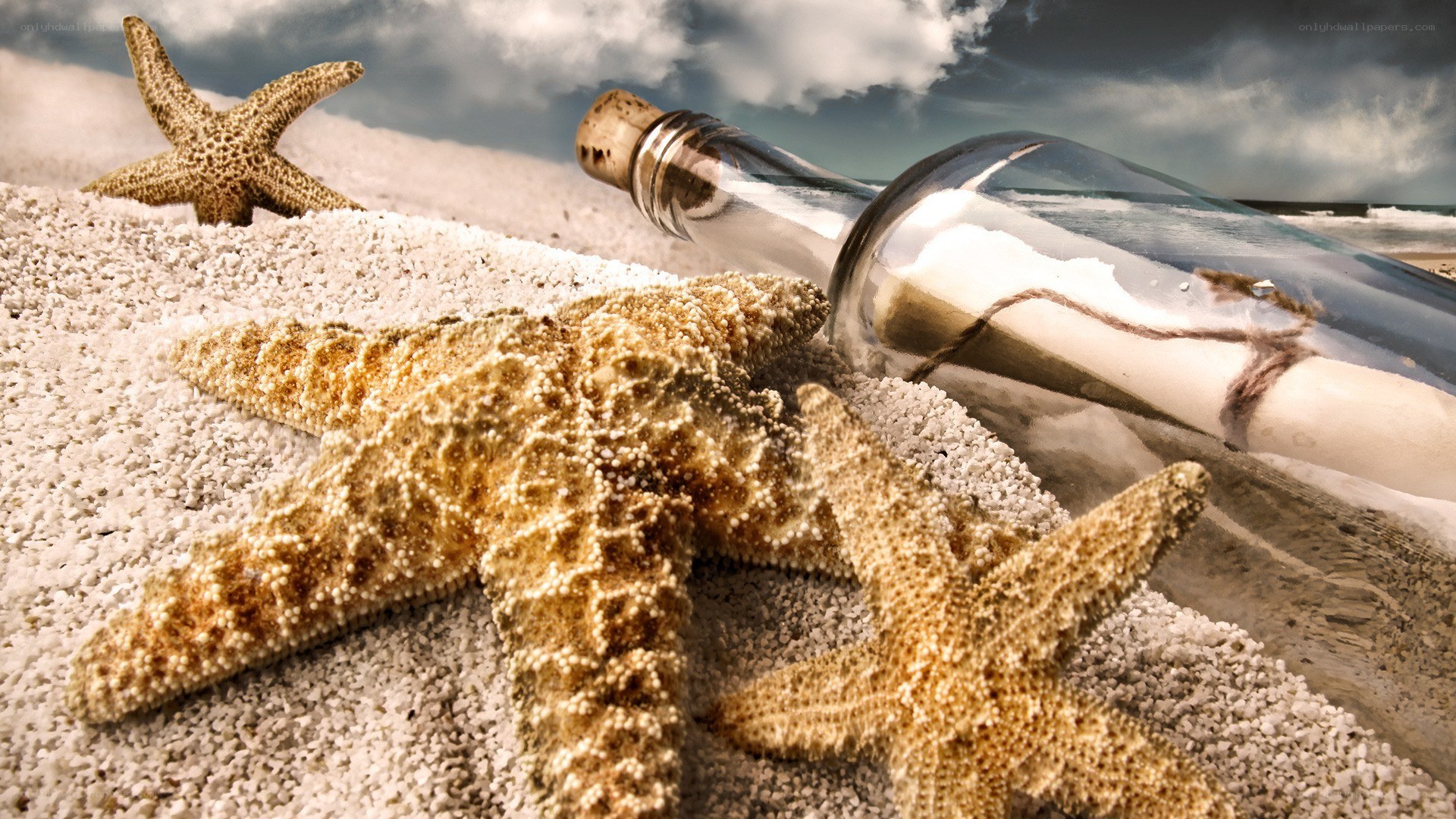 starfish and message in a bottle