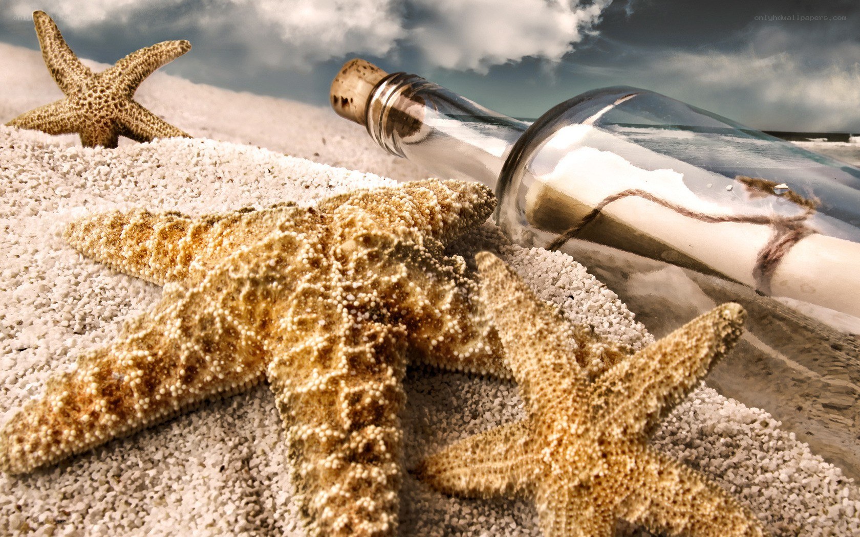 starfish and message in a bottle