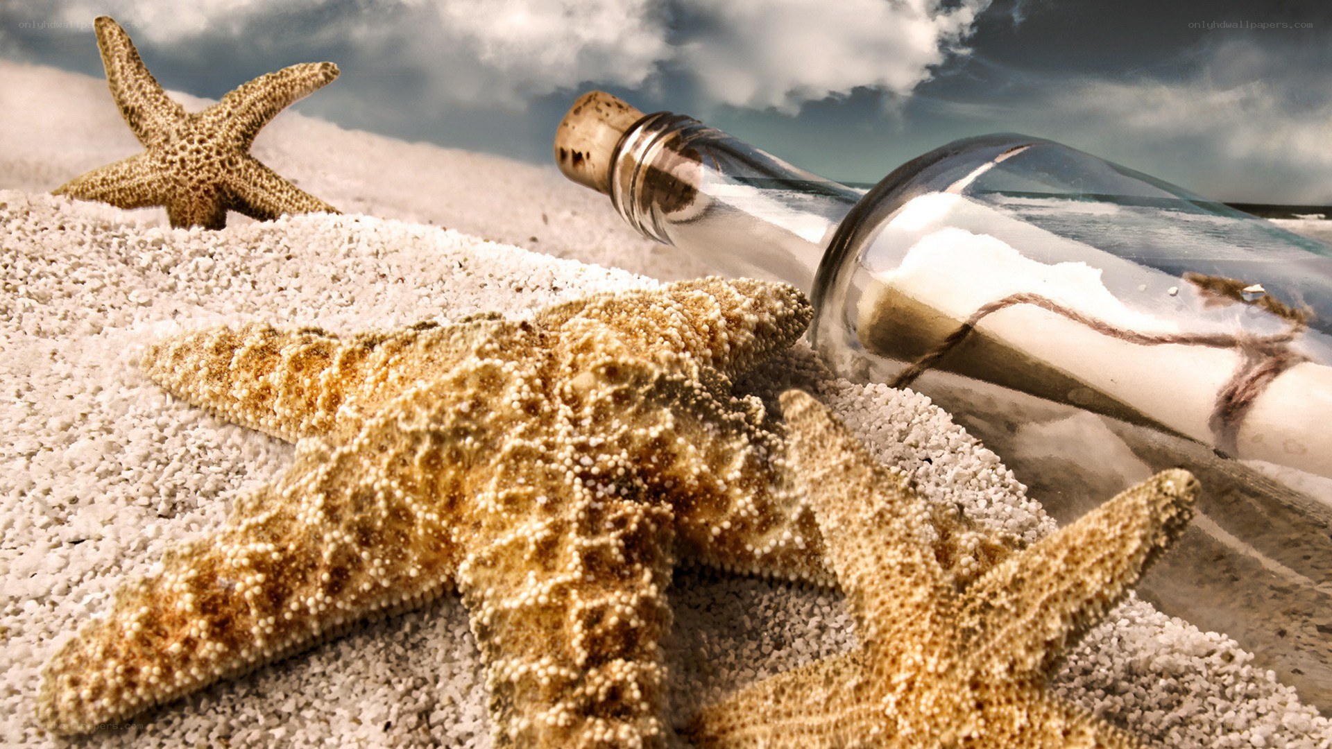 starfish and message in a bottle